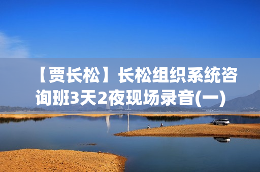 【贾长松】长松组织系统咨询班3天2夜现场录音(一)