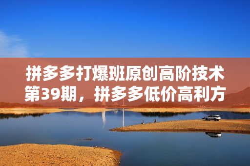 拼多多打爆班原创高阶技术第39期，拼多多低价高利方向