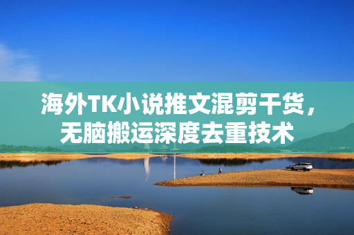 海外TK小说推文混剪干货，无脑搬运深度去重技术