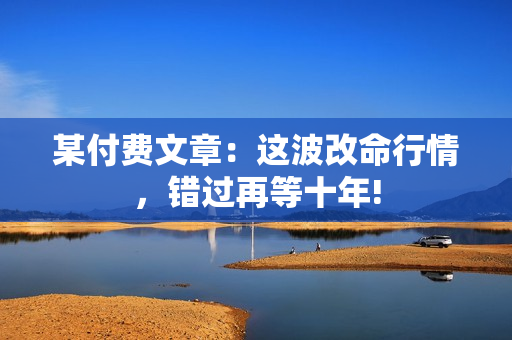 某付费文章：这波改命行情，错过再等十年!