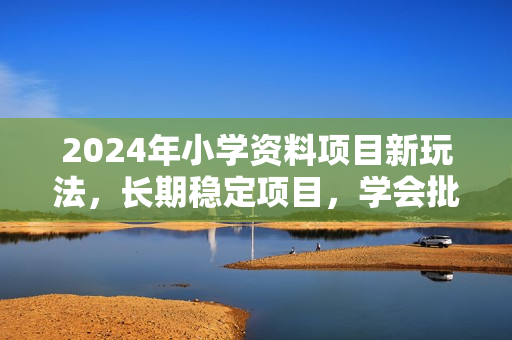 2024年小学资料项目新玩法，长期稳定项目，学会批量复制搞钱
