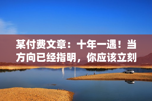 某付费文章：十年一遇！当方向已经指明，你应该立刻转换信念和思维|长文
