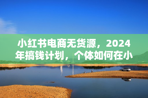 小红书电商无货源，2024年搞钱计划，个体如何在小红书风口赚到第一桶金