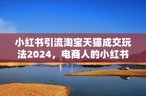 小红书引流淘宝天猫成交玩法2024，电商人的小红书落地玩法