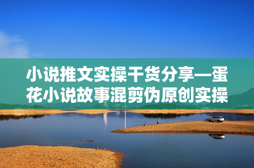 小说推文实操干货分享—蛋花小说故事混剪伪原创实操