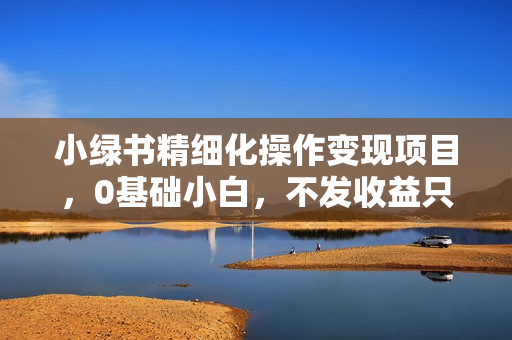 小绿书精细化操作变现项目，0基础小白，不发收益只讲干货