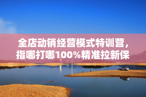 全店动销经营模式特训营，指哪打哪100%精准拉新保姆式起店实操课程