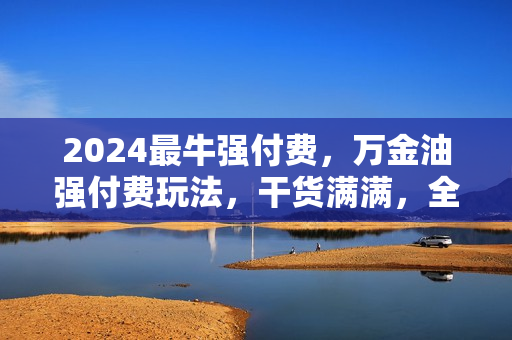2024最牛强付费，万金油强付费玩法，干货满满，全程实操起飞