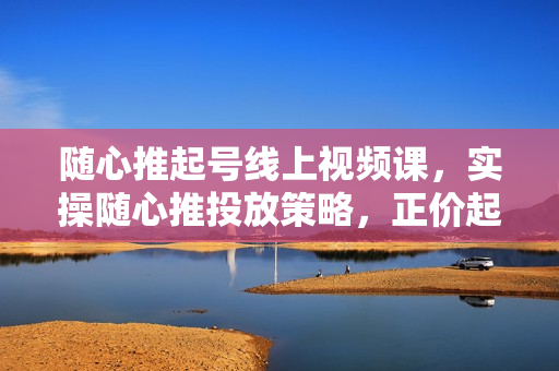 随心推起号线上视频课，实操随心推投放策略，正价起号