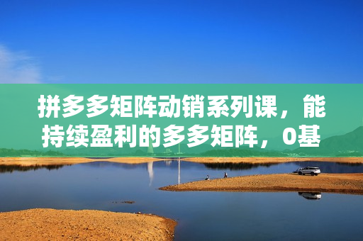 拼多多矩阵动销系列课，能持续盈利的多多矩阵，0基础也听得懂，玩法持续更新