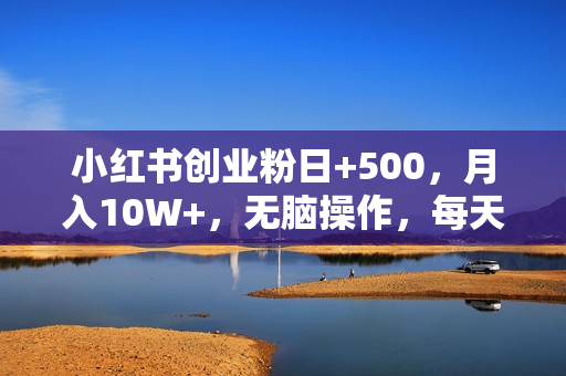 小红书创业粉日+500，月入10W+，无脑操作，每天20分钟