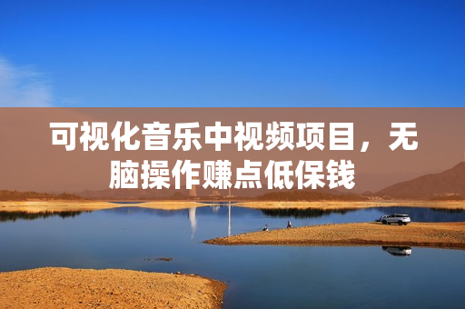 可视化音乐中视频项目，无脑操作赚点低保钱