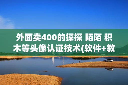 外面卖400的探探 陌陌 积木等头像认证技术(软件+教程)