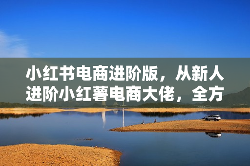 小红书电商进阶版，从新人进阶小红薯电商大佬，全方位玩透红薯电商