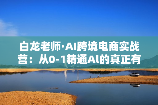 白龙老师·AI跨境电商实战营：从0-1精通Al的真正有效电商玩法，卖家如何利用Al快速超车