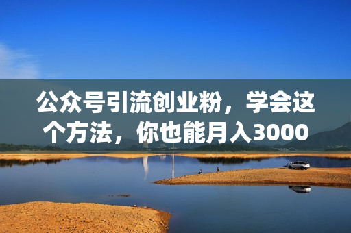 公众号引流创业粉，学会这个方法，你也能月入30000+ (陪跑项目)