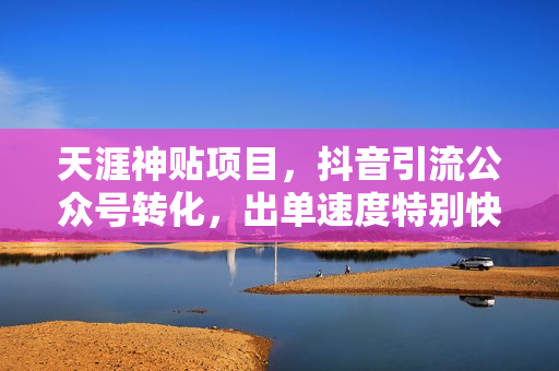天涯神贴项目，抖音引流公众号转化，出单速度特别快，一周日收益破千