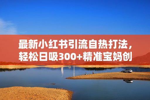 最新小红书引流自热打法，轻松日吸300+精准宝妈创业粉，小红书更新后新
