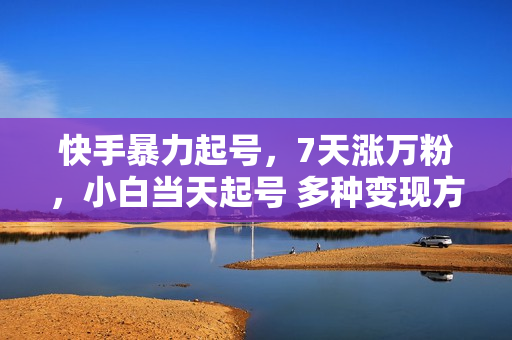 快手暴力起号，7天涨万粉，小白当天起号 多种变现方式，账号回收，单月