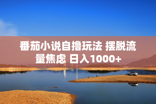 番茄小说自撸玩法 摆脱流量焦虑 日入1000+