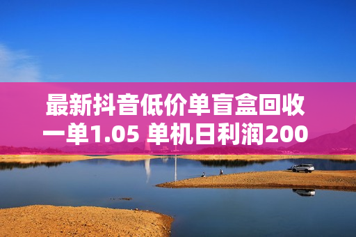 最新抖音低价单盲盒回收 一单1.05 单机日利润200 纯绿色不封号