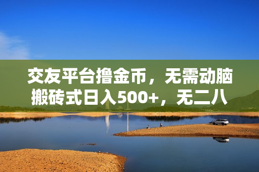 交友平台撸金币，无需动脑搬砖式日入500+，无二八原则做就有，可批量矩