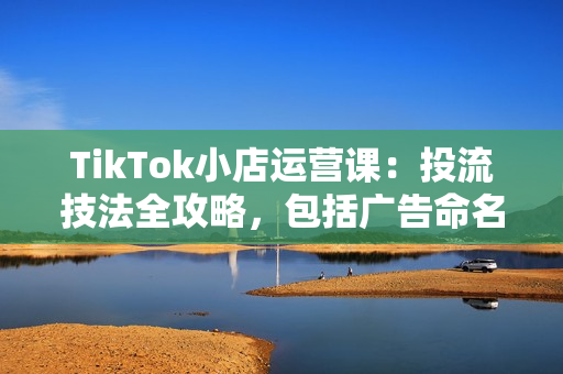 TikTok小店运营课：投流技法全攻略，包括广告命名 扩量手法及市场运营方法
