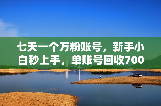 七天一个万粉账号，新手小白秒上手，单账号回收700元，轻松月入三万＋