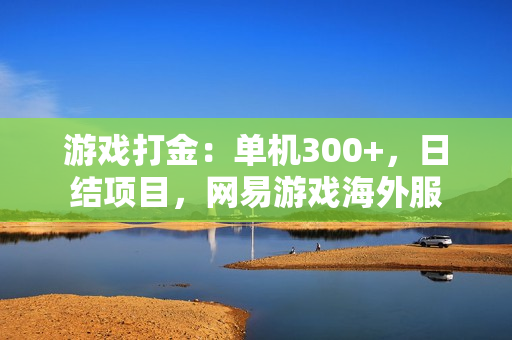 游戏打金：单机300+，日结项目，网易游戏海外服