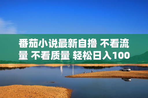 番茄小说最新自撸 不看流量 不看质量 轻松日入1000+
