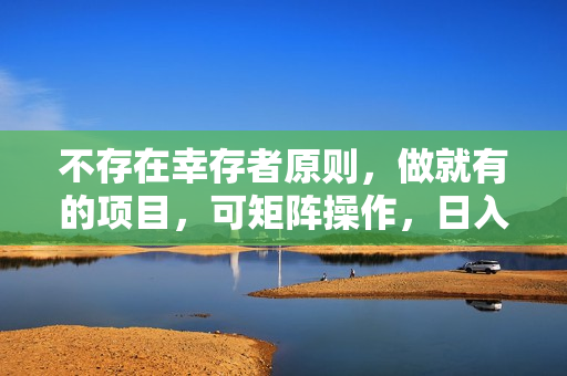不存在幸存者原则，做就有的项目，可矩阵操作，日入500+