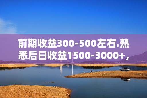前期收益300-500左右.熟悉后日收益1500-3000+，稳定项目，全年可做