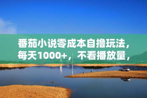番茄小说零成本自撸玩法，每天1000+，不看播放量，不看视频质量