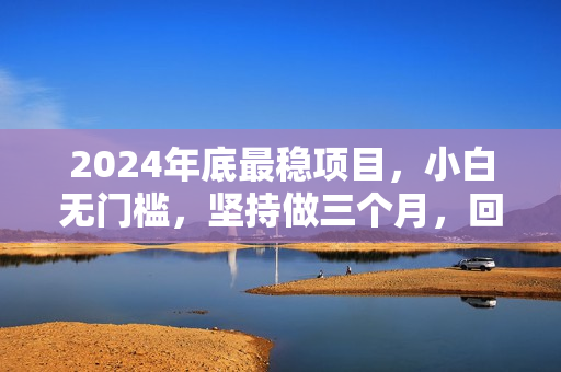 2024年底最稳项目，小白无门槛，坚持做三个月，回家过肥年！！！