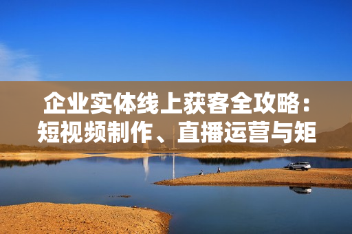 企业实体线上获客全攻略：短视频制作、直播运营与矩阵布局