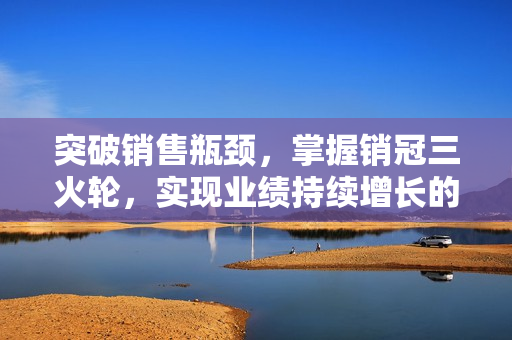 突破销售瓶颈，掌握销冠三火轮，实现业绩持续增长的销售技能课