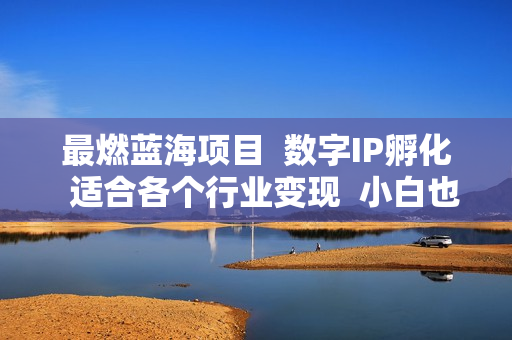 最燃蓝海项目  数字IP孵化  适合各个行业变现  小白也能日入5位数
