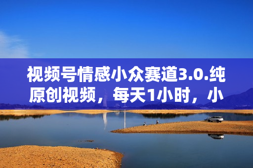 视频号情感小众赛道3.0.纯原创视频，每天1小时，小白易上手
