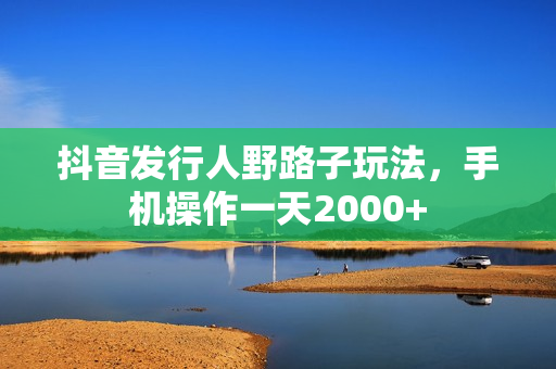 抖音发行人野路子玩法，手机操作一天2000+
