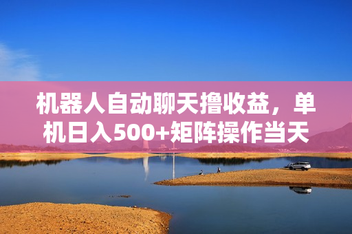 机器人自动聊天撸收益，单机日入500+矩阵操作当天落地
