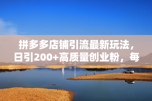 拼多多店铺引流最新玩法，日引200+高质量创业粉，每天稳定1000+收益（