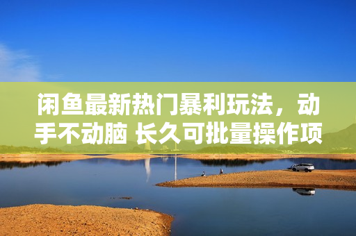 闲鱼最新热门暴利玩法，动手不动脑 长久可批量操作项目