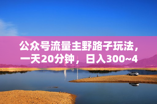 公众号流量主野路子玩法，一天20分钟，日入300~400，小白一学就会