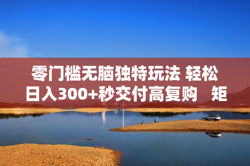 零门槛无脑独特玩法 轻松日入300+秒交付高复购   矩阵无上限