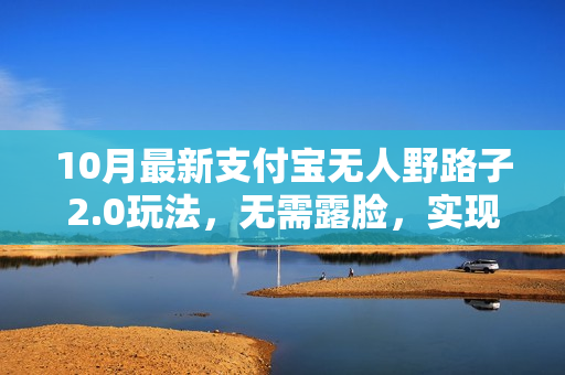 10月最新支付宝无人野路子2.0玩法，无需露脸，实现被动收入，小白也可