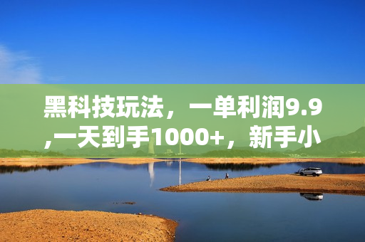 黑科技玩法，一单利润9.9,一天到手1000+，新手小白秒上手