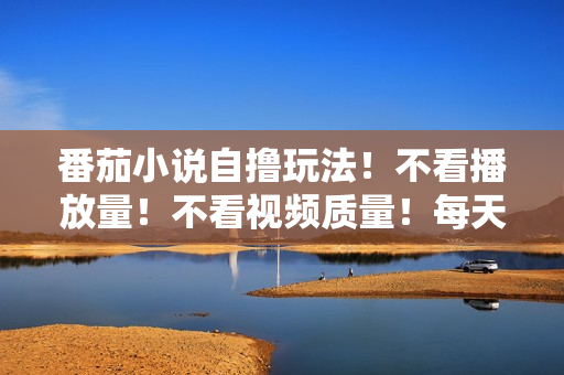 番茄小说自撸玩法！不看播放量！不看视频质量！每天1000+