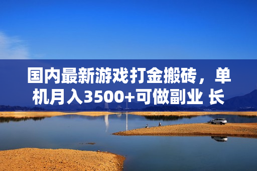国内最新游戏打金搬砖，单机月入3500+可做副业 长期稳定