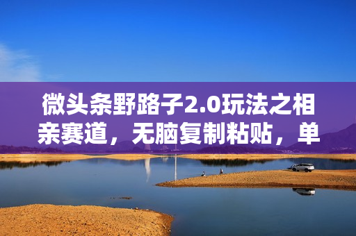 微头条野路子2.0玩法之相亲赛道，无脑复制粘贴，单账号日稳定100+，不