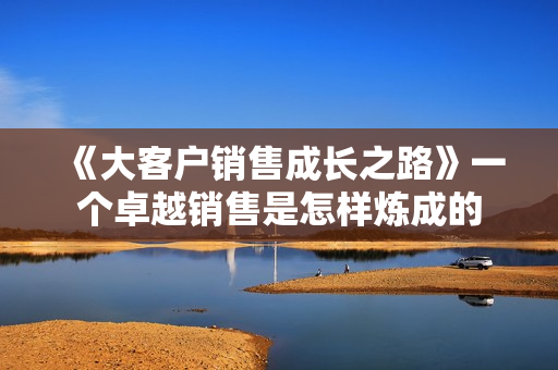 《大客户销售成长之路》一个卓越销售是怎样炼成的